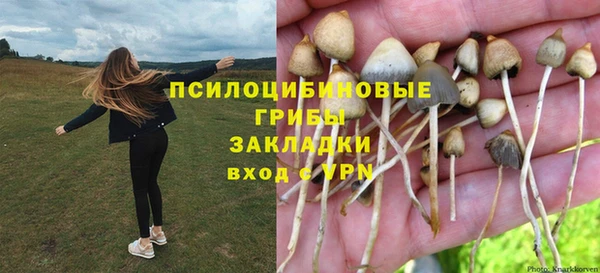 гашиш Заводоуковск