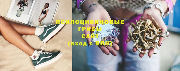 гашиш Заводоуковск