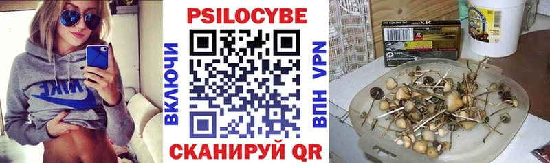 Галлюциногенные грибы мухоморы Владимир