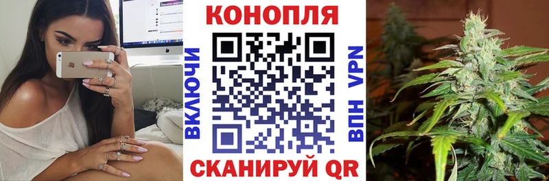 Бошки Шишки OG Kush Владимир